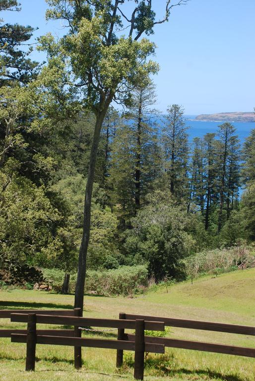 Apartamento Coast Norfolk Island Burnt Pine Habitación foto