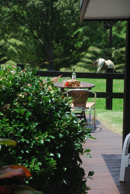 Apartamento Coast Norfolk Island Burnt Pine Habitación foto